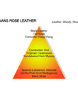 ARABIANS ROSE LEATHER