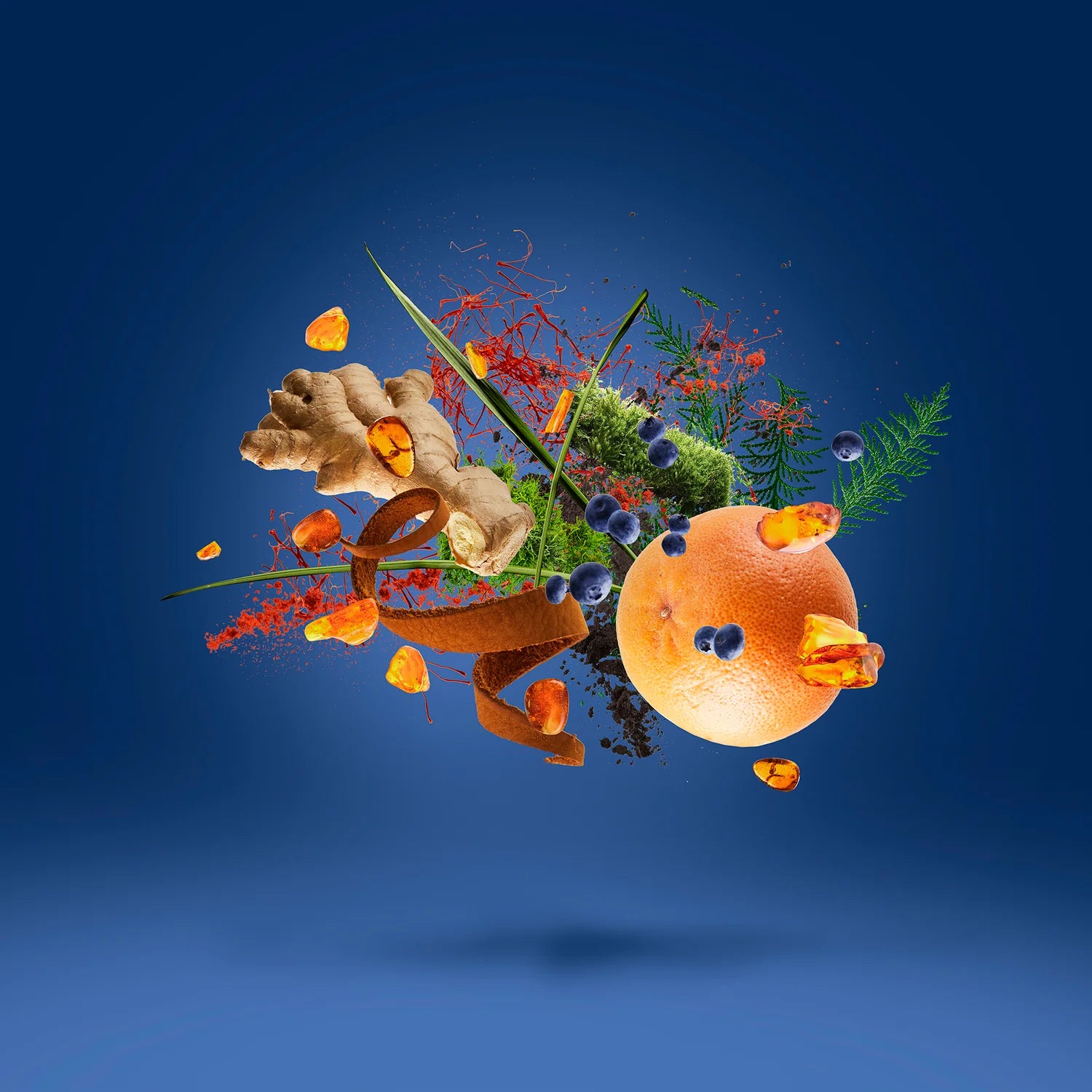 NITTO ATP FINALS - TORINO 25