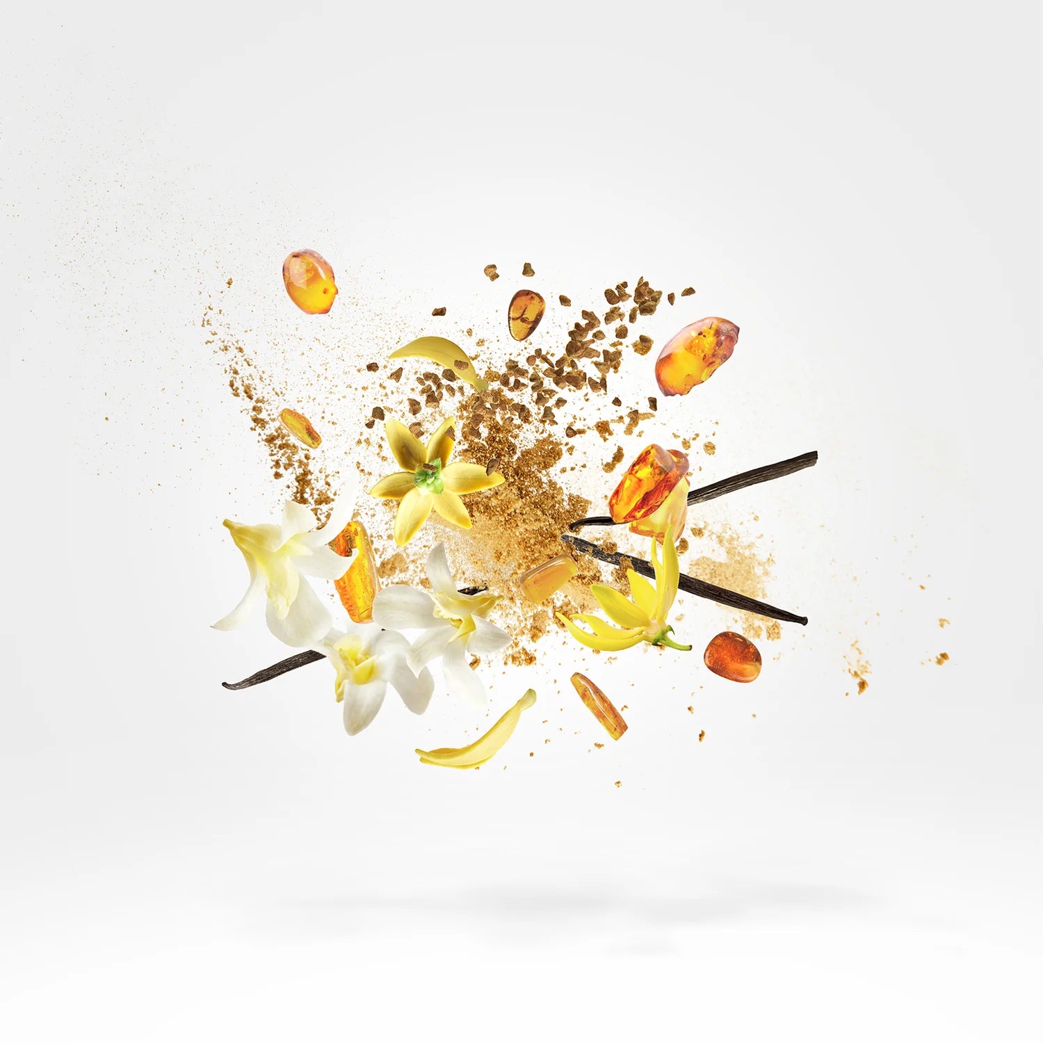 MIXING EXPERIENCE - AMBER STAR &amp; STAR MUSK