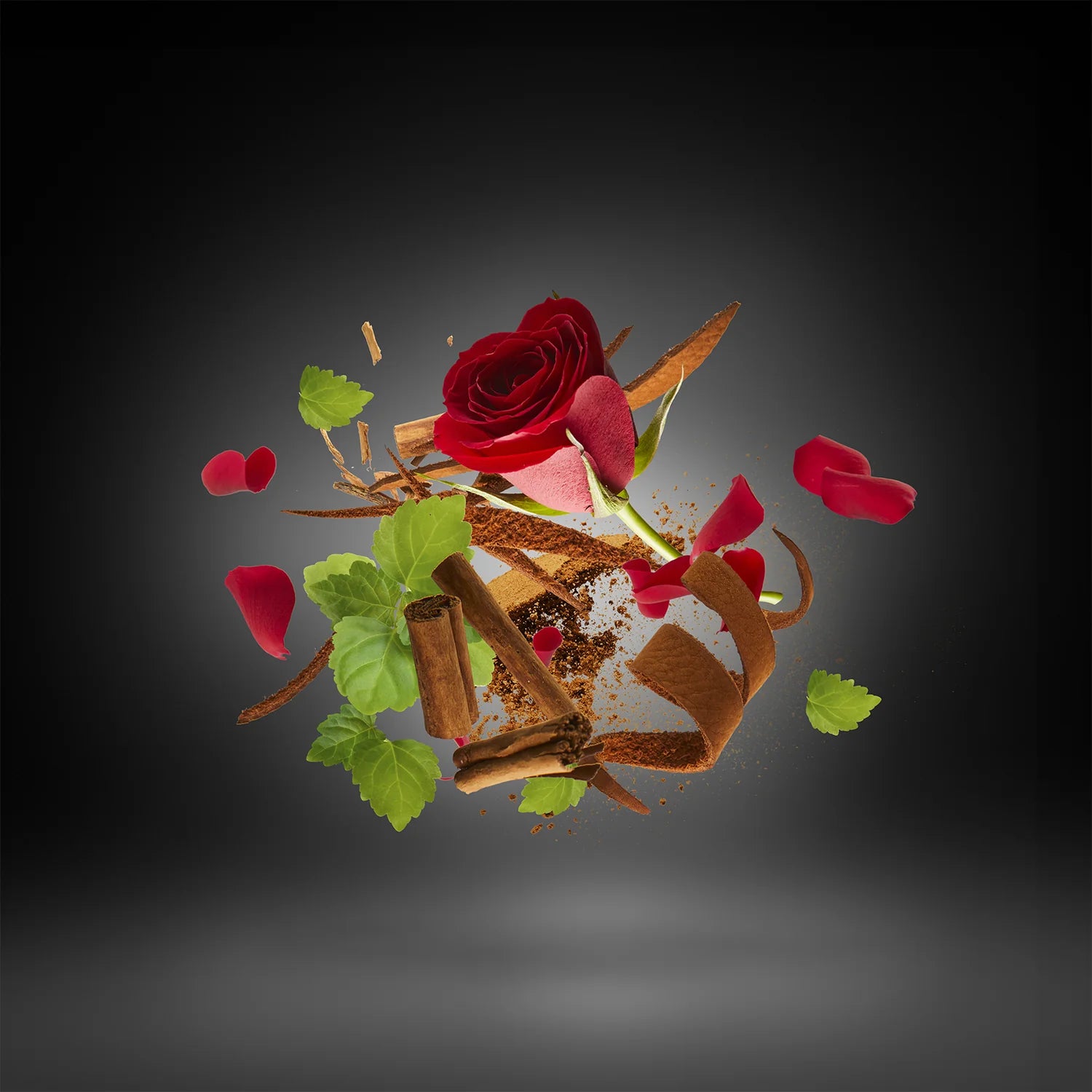 BLENDS - TONNY IOMMI DEIFIED