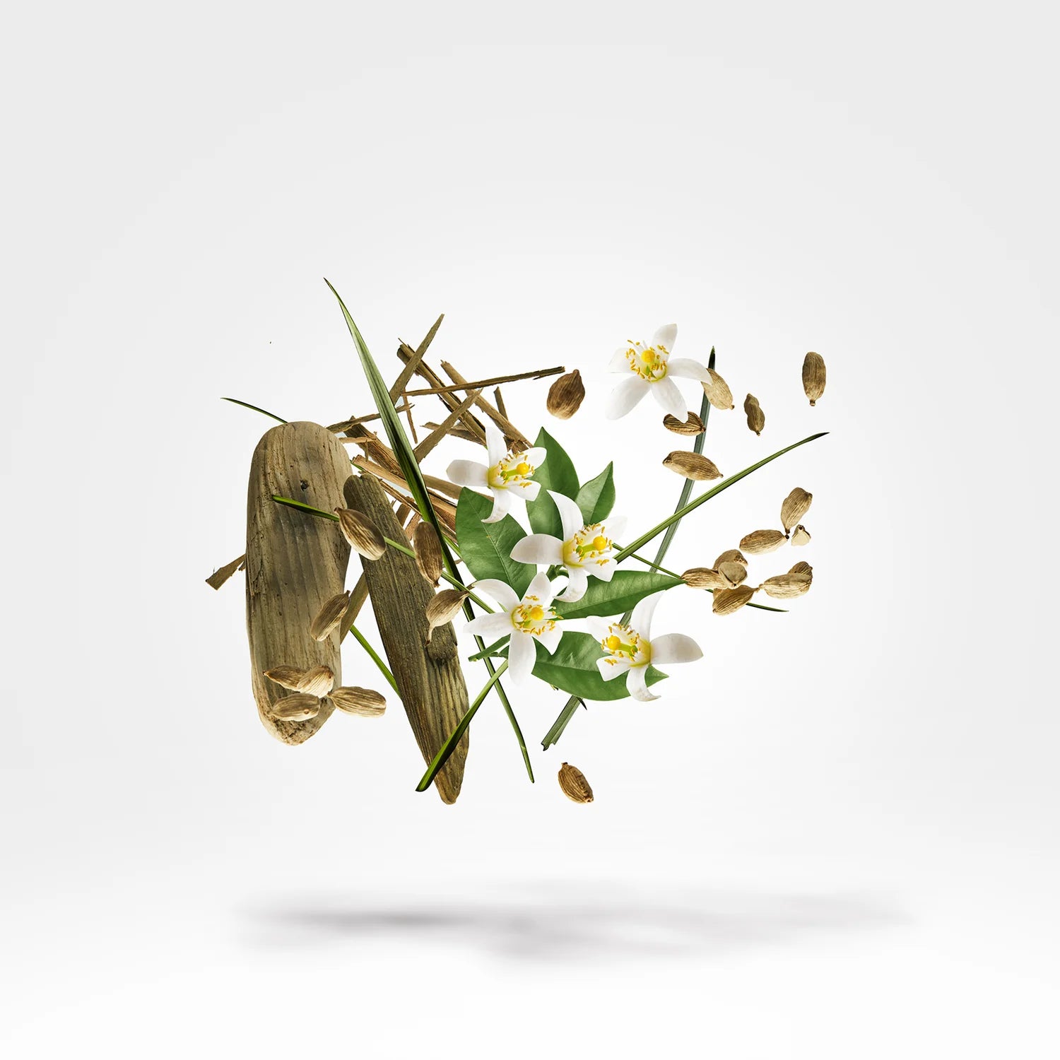 SHOOTING STARS - NIO