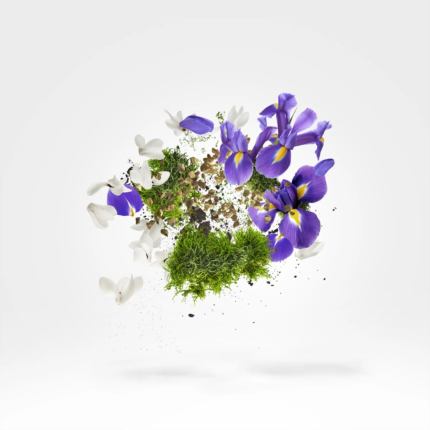 MIXING EXPERIENCE - AMBER STAR &amp; STAR MUSK