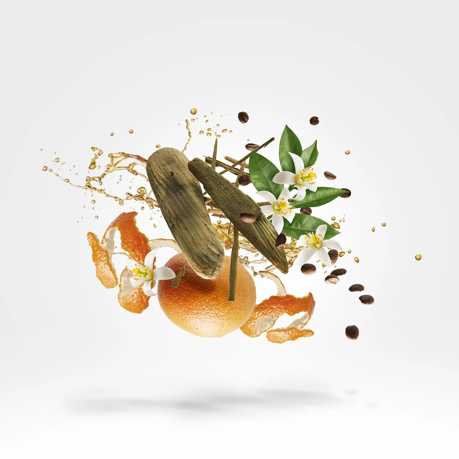 SHOOTING STARS - UDEN