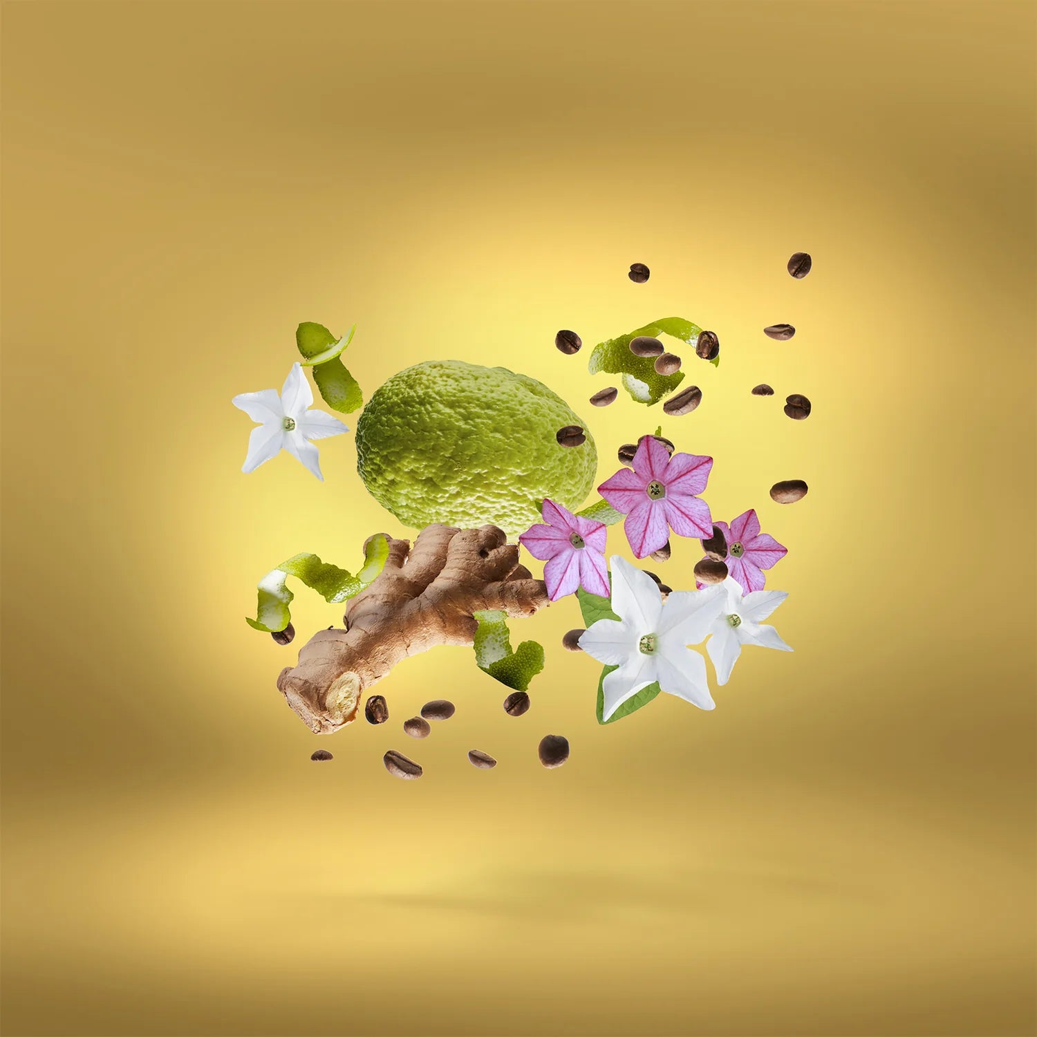 SHOOTING STARS - UDEN OVERDOSE